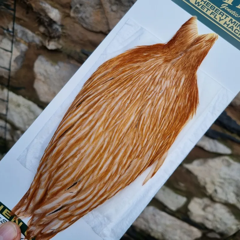 Whiting Hebert Miner Hen Cape in Medium Ginger-4